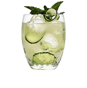 png-transparent-rickey-caipiroska-mojito-caipirinha-vodka-tonic-mojito-cocktail-non-alcoholic-beverage-lime-juice-thumbnail-removebg-preview